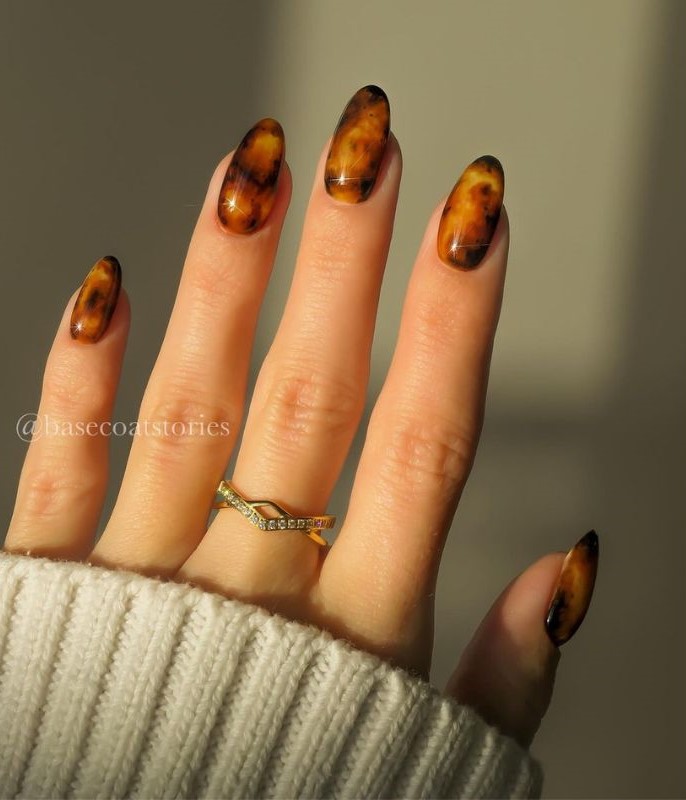 Tortoise Fall Nail Design