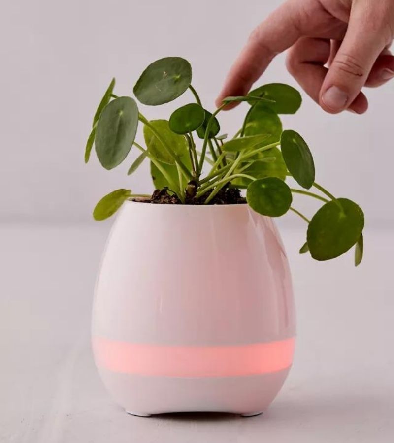 Plant Bluetooth Speaker - best gifts under $50