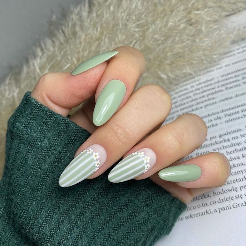 Pastel Green With Dashed Lines