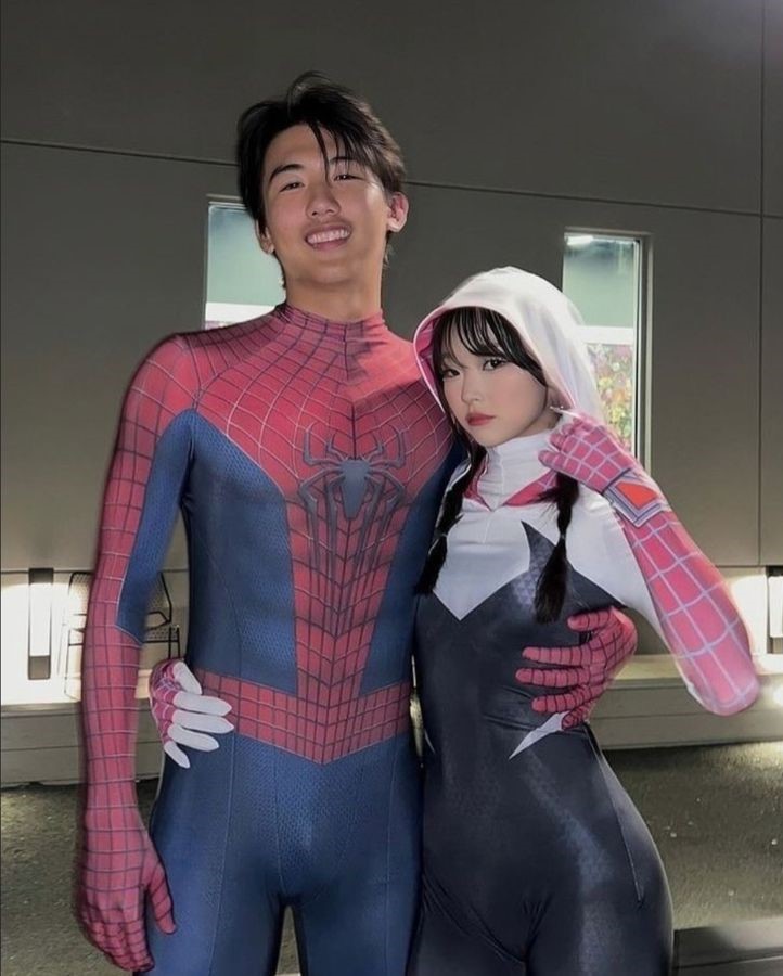 spiderman and gwen couples halloween costume
