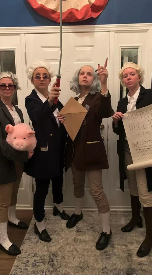 hamilton funny halloween costume