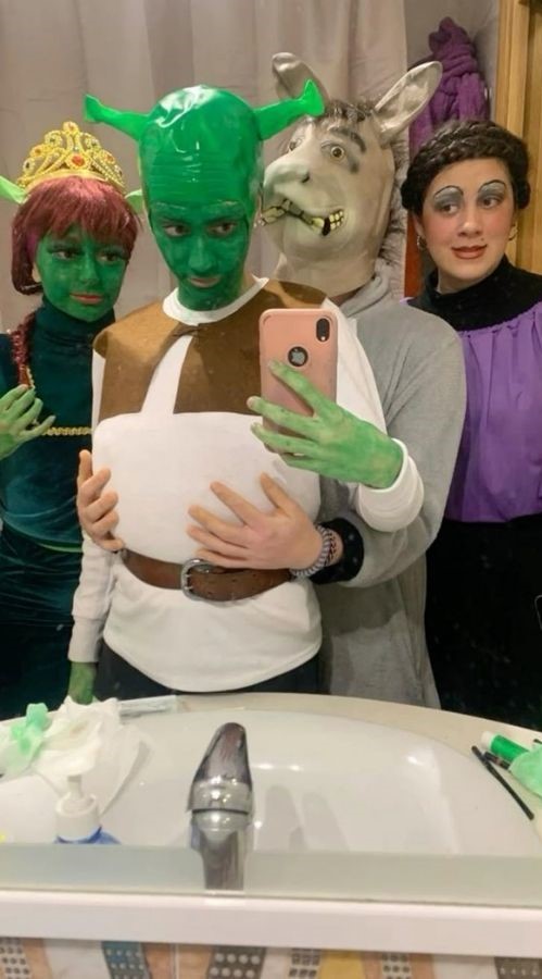 shrek funny halloween costumes