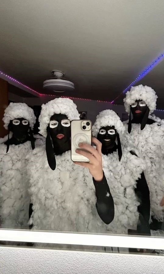 shaun the sheep funny costumes