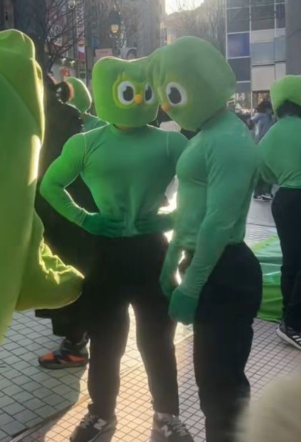 green duolingo costume 
