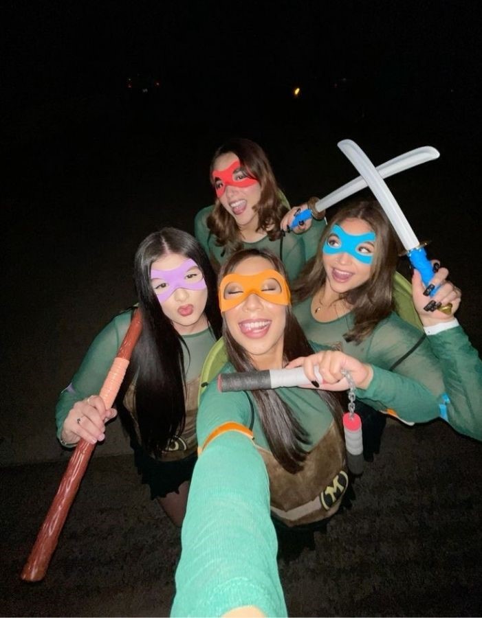 teenage mutant turtles