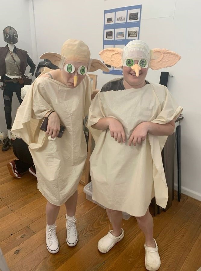 dobby funny costumes
