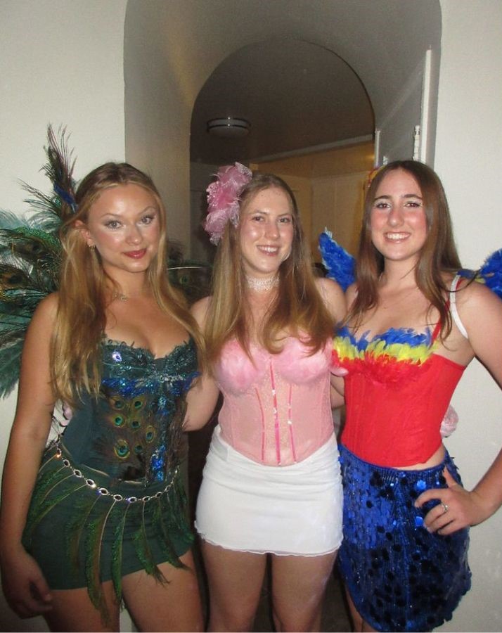 bird trio halloween costumes