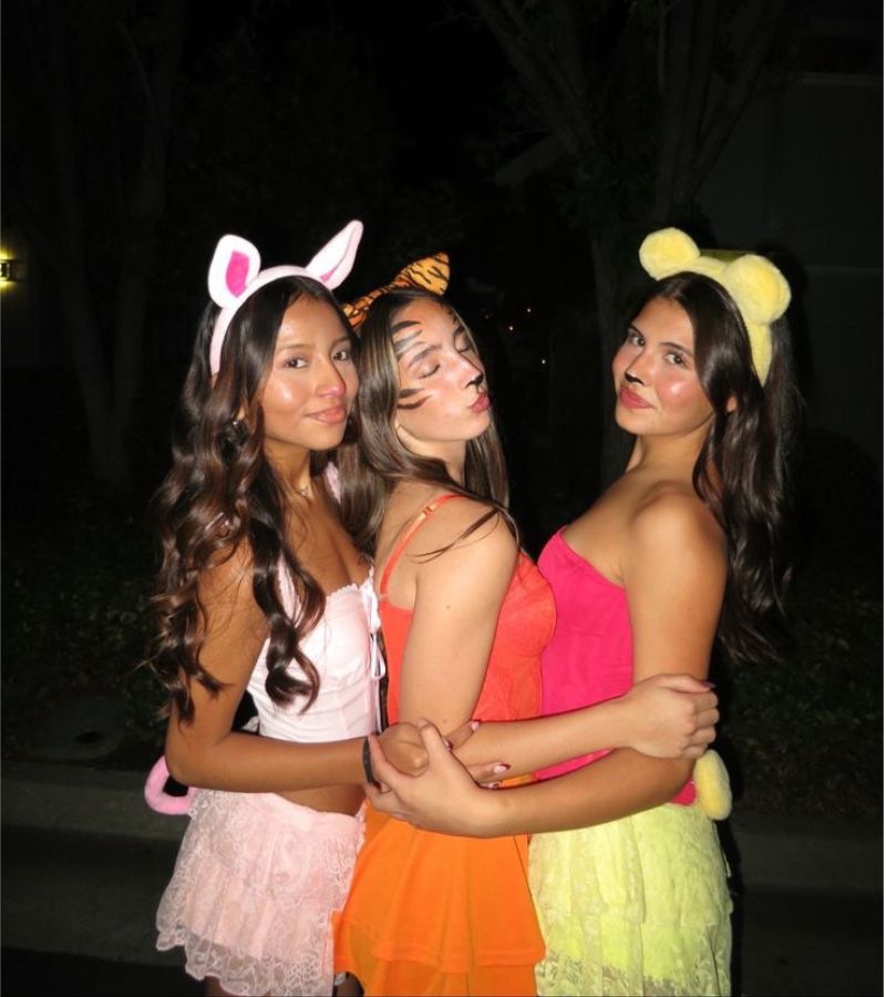 winnie the pooh