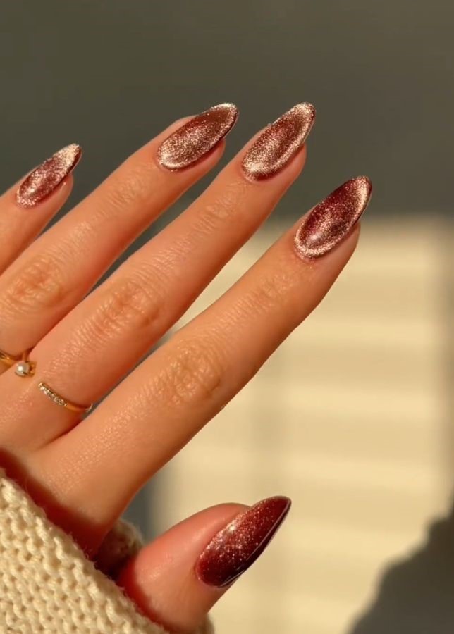 jelly brown velvet nails