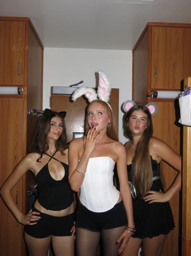 bunny trio halloween costume ideas